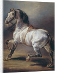 A Study of a Horse by Theodore Gericault