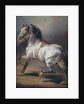 A Study of a Horse by Theodore Gericault