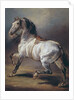 A Study of a Horse by Theodore Gericault