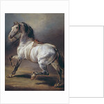 A Study of a Horse by Theodore Gericault