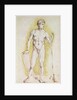 Young Nude Man by Albrecht Dürer or Duerer