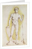 Young Nude Man by Albrecht Dürer or Duerer