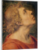 Saint John the Evangelist by Sebastiano del Piombo