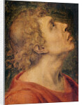 Saint John the Evangelist by Sebastiano del Piombo