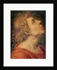 Saint John the Evangelist by Sebastiano del Piombo