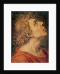Saint John the Evangelist by Sebastiano del Piombo