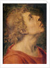 Saint John the Evangelist by Sebastiano del Piombo
