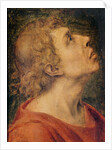Saint John the Evangelist by Sebastiano del Piombo