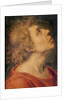 Saint John the Evangelist by Sebastiano del Piombo