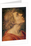 Saint John the Evangelist by Sebastiano del Piombo