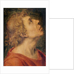 Saint John the Evangelist by Sebastiano del Piombo