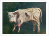 A Calf by Gustave Courbet