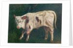 A Calf by Gustave Courbet