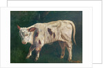 A Calf by Gustave Courbet