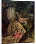 St. Jerome Meditating in the Desert, 1506 by Lorenzo Lotto