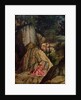 St. Jerome Meditating in the Desert, 1506 by Lorenzo Lotto