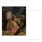 St. Jerome Meditating in the Desert, 1506 by Lorenzo Lotto