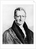 Portrait of Thomas Robert Malthus engraved by Fournier for the 'Dictionary of Political Economics', 1853 by John Linnell