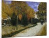 Path in the Park at Arles, 1888 by Vincent van Gogh
