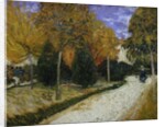 Path in the Park at Arles, 1888 by Vincent van Gogh