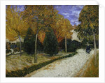 Path in the Park at Arles, 1888 by Vincent van Gogh