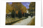Path in the Park at Arles, 1888 by Vincent van Gogh