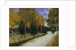 Path in the Park at Arles, 1888 by Vincent van Gogh