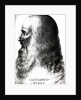 Portrait of Leonardo da Vinci by Italian School