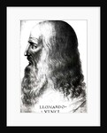 Portrait of Leonardo da Vinci by Italian School