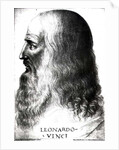 Portrait of Leonardo da Vinci by Italian School