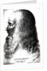 Portrait of Leonardo da Vinci by Italian School