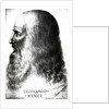 Portrait of Leonardo da Vinci by Italian School
