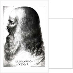 Portrait of Leonardo da Vinci by Italian School