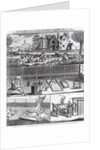 The First Plate of the Woollen Manufacture Exhibiting the Art of Sheep Shearing The Washing The Beating and The Combing of Wool by English School