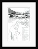 A Perspective View of Lake George and a Plan of Ticonderoga by American School
