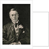 Joseph Chamberlain by English Photographer
