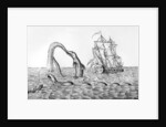 The Sea Serpent by English School