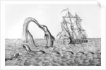 The Sea Serpent by English School