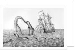The Sea Serpent by English School