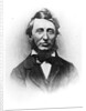 Henry Thoreau by American Photographer