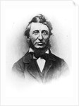 Henry Thoreau by American Photographer