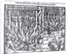 The Picture of the Hanging and Burning of Diverse Persons Counted for Lollards, in the First Year of the Reign of King Henry V by English School
