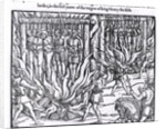 The Picture of the Hanging and Burning of Diverse Persons Counted for Lollards, in the First Year of the Reign of King Henry V by English School