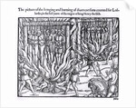 The Picture of the Hanging and Burning of Diverse Persons Counted for Lollards, in the First Year of the Reign of King Henry V by English School