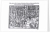 The Picture of the Hanging and Burning of Diverse Persons Counted for Lollards, in the First Year of the Reign of King Henry V by English School