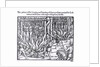 The Picture of the Hanging and Burning of Diverse Persons Counted for Lollards, in the First Year of the Reign of King Henry V by English School