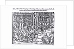 The Picture of the Hanging and Burning of Diverse Persons Counted for Lollards, in the First Year of the Reign of King Henry V by English School