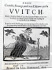 A Most Certain, Strange and True Discovery of a Witch, 1643 by English School