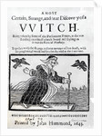 A Most Certain, Strange and True Discovery of a Witch, 1643 by English School