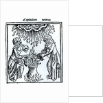 Witches Making a Spell by German School